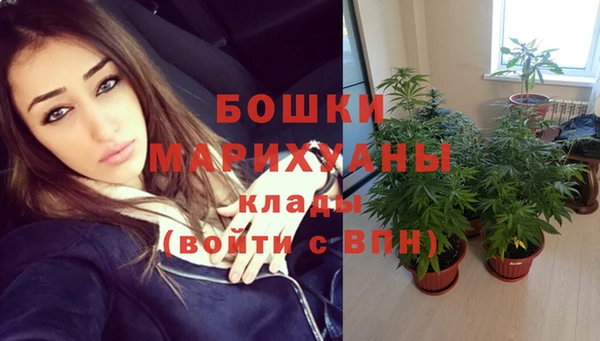гашик Лабытнанги
