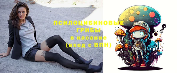гашик Лабытнанги