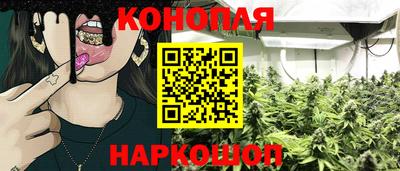 прущие грибы Камышлов