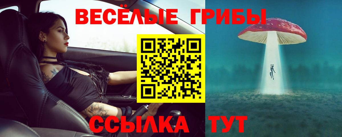 Галлюциногенные грибы Cubensis  дарнет шоп  Мурино  Вход с VPN 